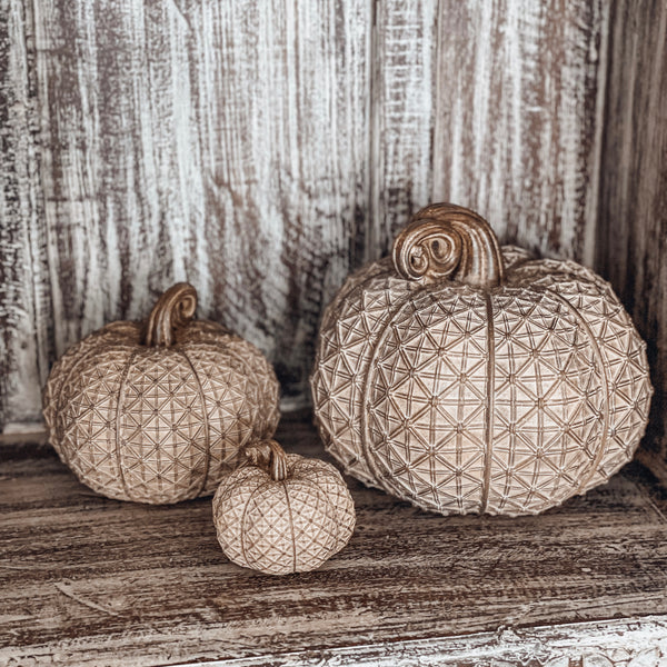 Kürbis Antique Latte Gold - DekoEule- Onlineshop für Landhausdeko, Deko Landhausstil, Farmhausdeko, Landhausstil Deko