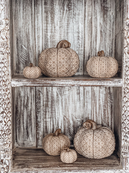 Kürbis Antique Latte Gold - DekoEule- Onlineshop für Landhausdeko, Deko Landhausstil, Farmhausdeko, Landhausstil Deko