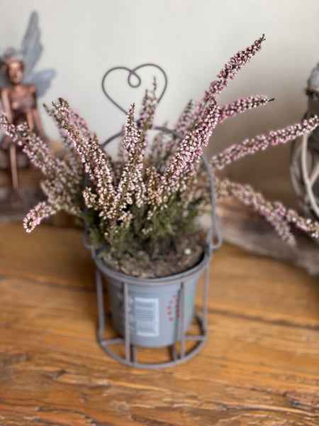 Metallkorb Herz - DekoEule- Onlineshop für Landhausdeko, Deko Landhausstil, Farmhausdeko, Landhausstil Deko