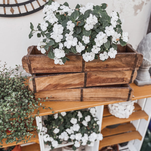 Ziegelform doppelte Kammer - DekoEule- Onlineshop für Landhausdeko, Deko Landhausstil, Farmhausdeko, Landhausstil Deko