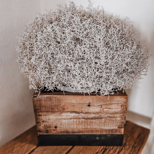 Streetwood Box - DekoEule- Onlineshop für Landhausdeko, Deko Landhausstil, Farmhausdeko, Landhausstil Deko