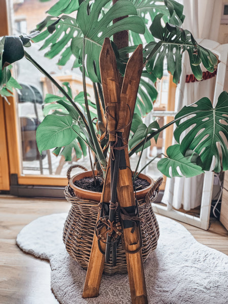 Vintage Ski mit Skistöckern