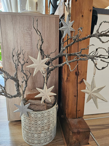 Shabby-chic Stern